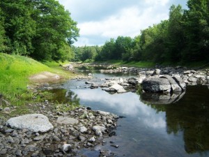 Marsh Stream After Dam Removal - A Tributary of the Penobscot River