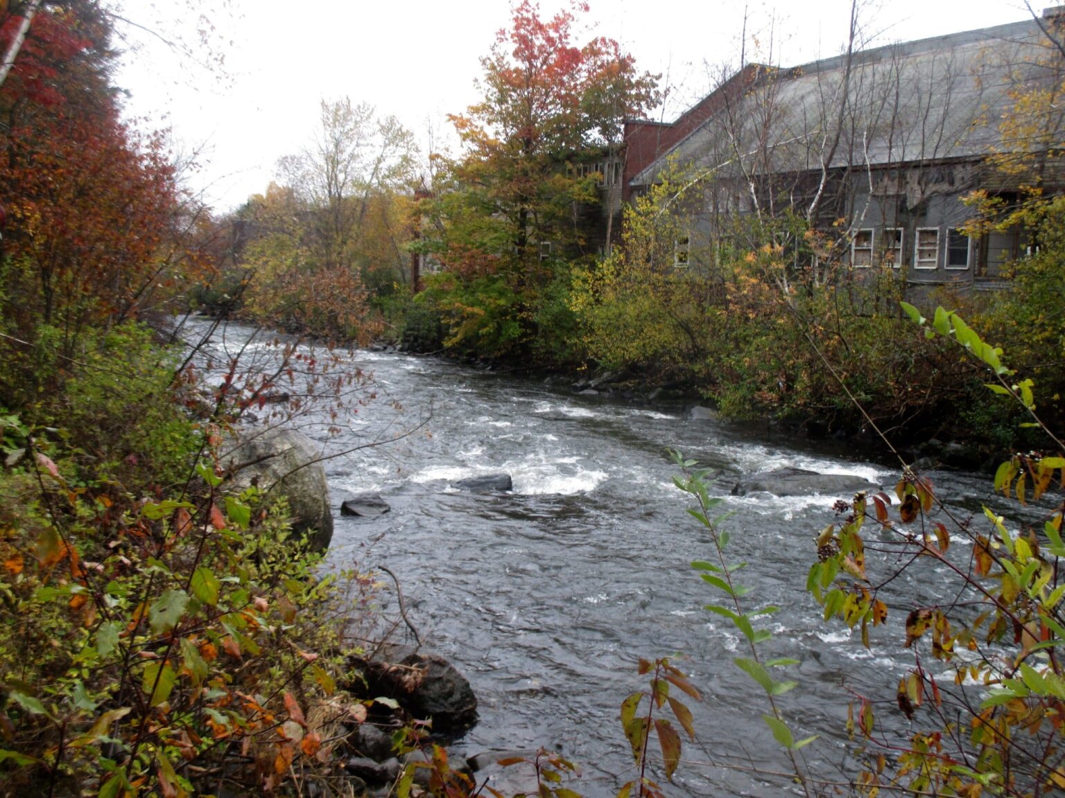 Current Priorities Maine Rivers